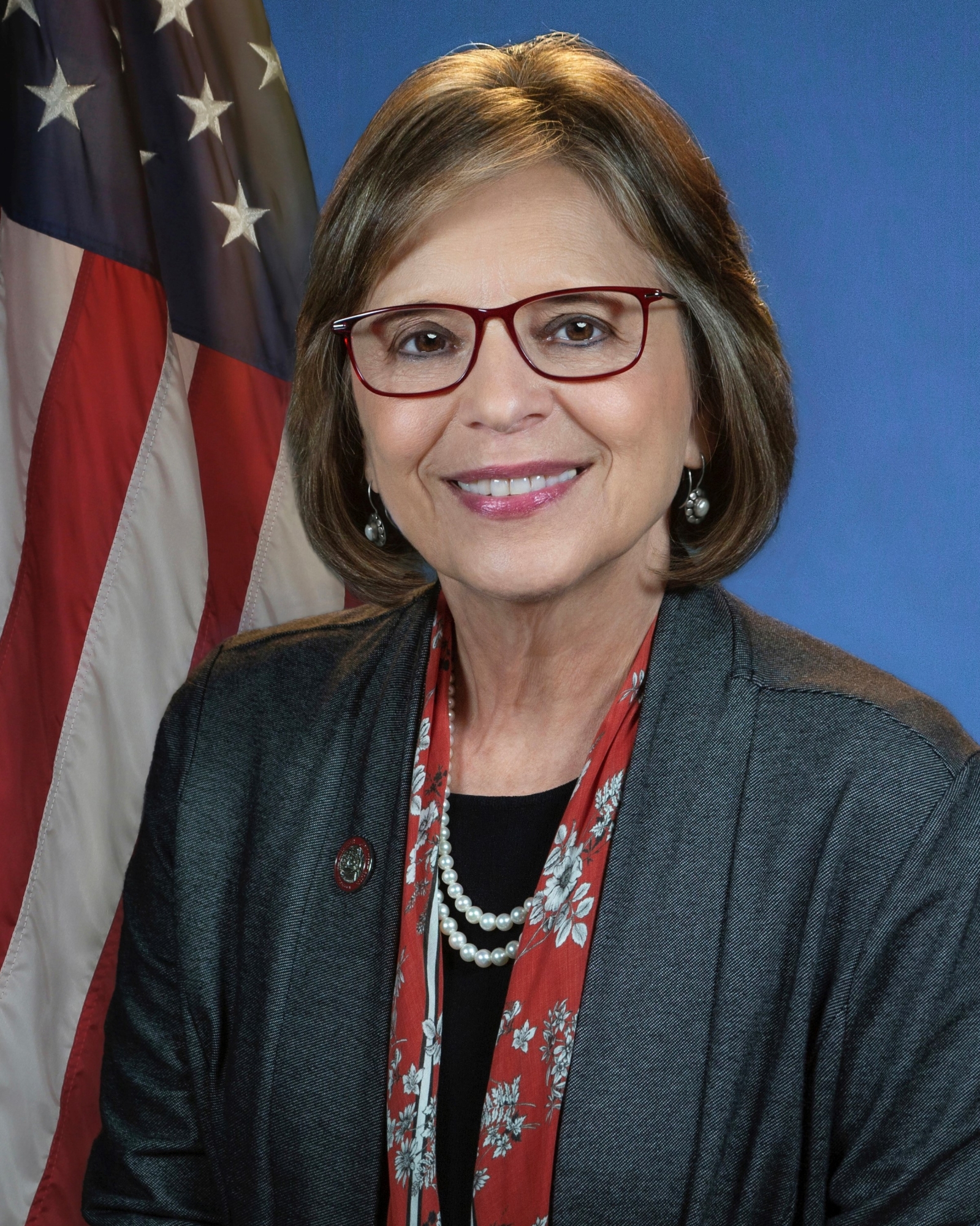 Standing Committee on  Agriculture Chair  Donna A. Lupardo